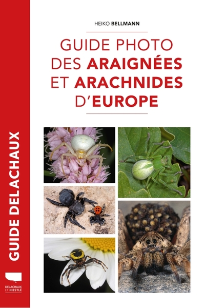 GUIDE PHOTO DES ARAIGNEES ET ARACHNIDES D´EUROPE