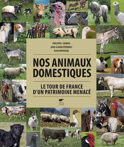 NOS ANIMAUX DOMESTIQUES : LE TOUR DE FRANCE D´UN PATRIMOINE MENACE