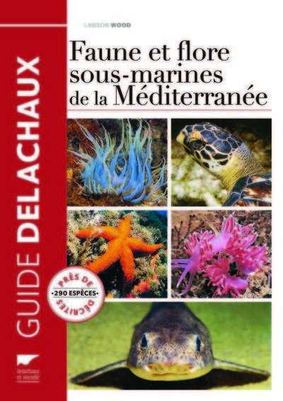 FAUNE ET FLORE SOUS - MARINES DE LA MEDITERRANEE