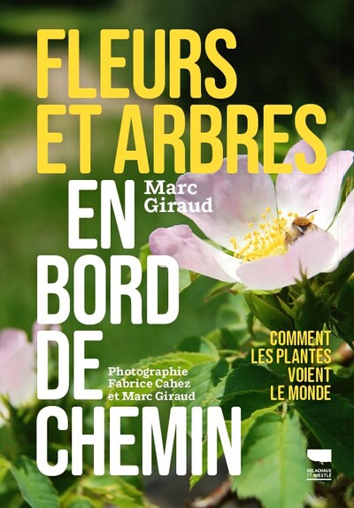 FLEURS ET ARBRES EN BORD DE CHEMIN