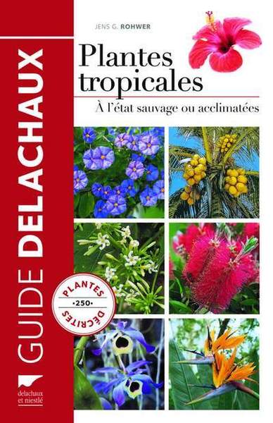 PLANTES TROPICALES