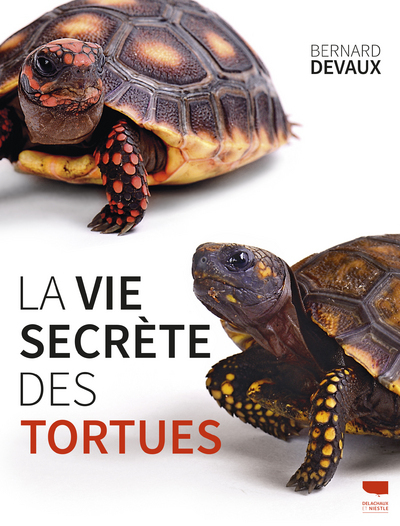VIE SECRETE DES TORTUES