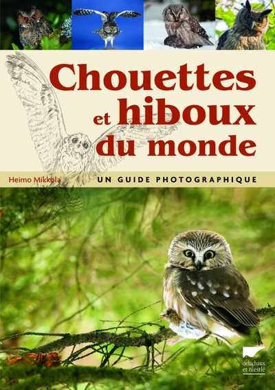 CHOUETTES ET HIBOUX DU MONDE. UN GUIDE PHOTOGRAPHIQUE