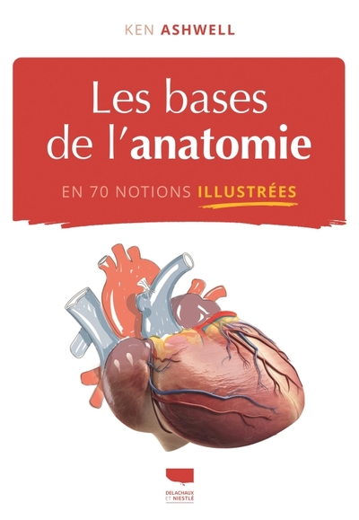 BASES DE L´ANATOMIE EN 70 NOTIONS ILLUSTREES