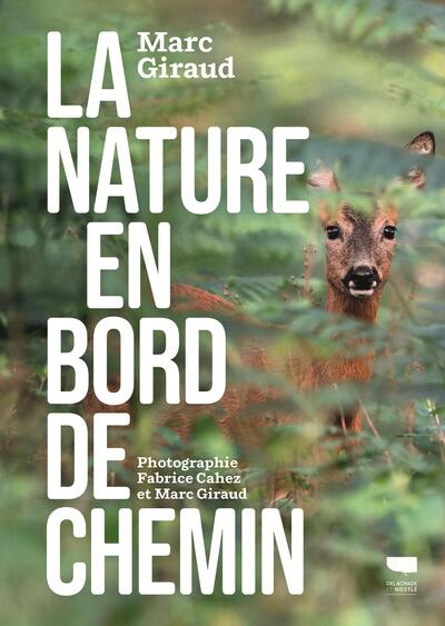 NATURE EN BORD DE CHEMIN