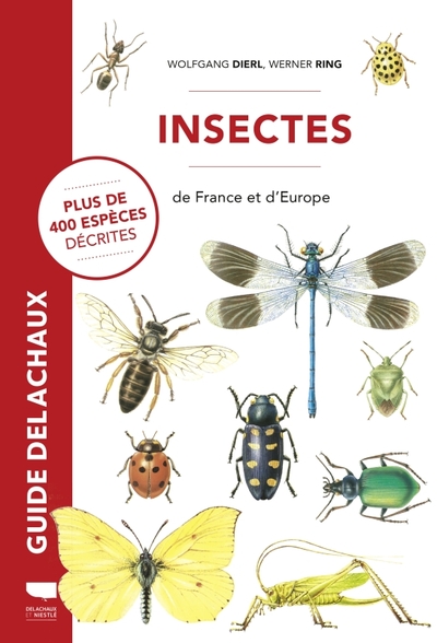 INSECTES DE FRANCE ET D´EUROPE