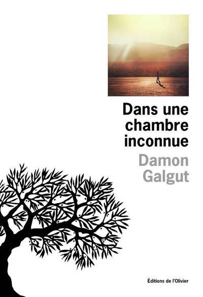 DANS UNE CHAMBRE INCONNUE