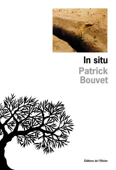IN SITU