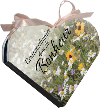 BONHEUR - L´EXTRAORDINAIRE DON DE BONHEUR