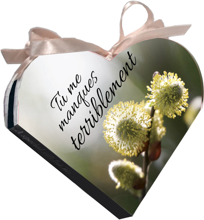 TERRIBLEMENT TU ME MANQUES