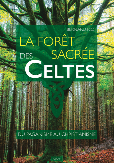 FORET SACREE DES CELTES - DU PAGANISME AU CHRISTIANISME