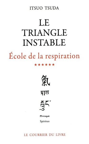 TRIANGLE INSTABLE (LE) VOLUME 6