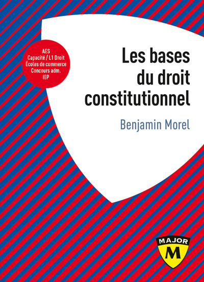 BASES DU DROIT CONSTITUTIONNEL (LES)