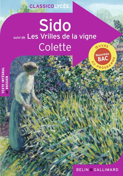 SIDO - SUIVI DE LES VRILLES DE LA VIGNE