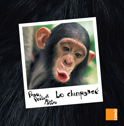 CHIMPANZE
