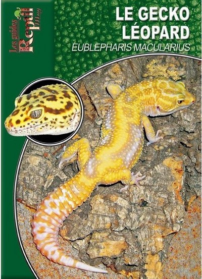 GRM GECKO LEOPARD