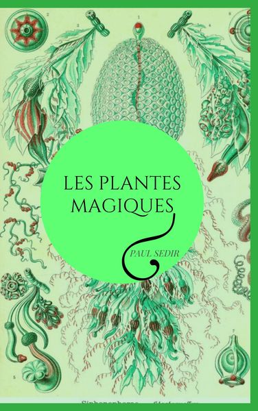 PLANTES MAGIQUES