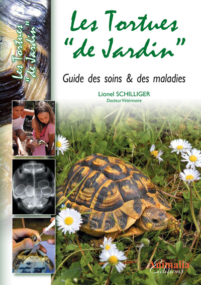 TORTUES DE JARDIN MALADIES