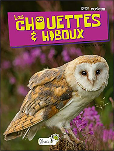 CHOUETTES & HIBOUX