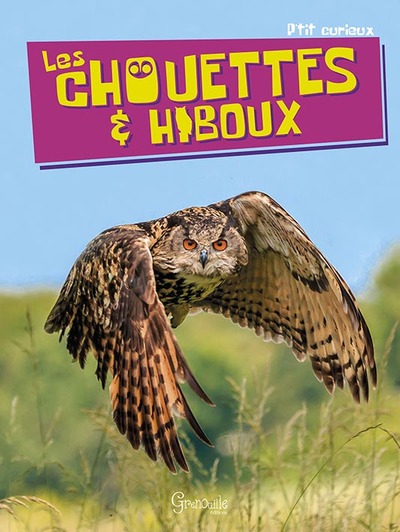 CHOUETTES ET HIBOUX (LES)