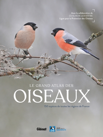 GRAND ATLAS DES OISEAUX - 150 OISEAUX DES REGIONS DE FRANCE