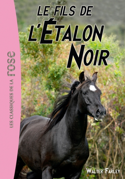 ETALON NOIR 4 LE FILS DE L´ETALON NOIR