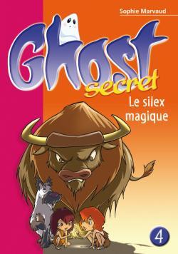 1603-GHOST SECRET N4 SILEX-BBROSE