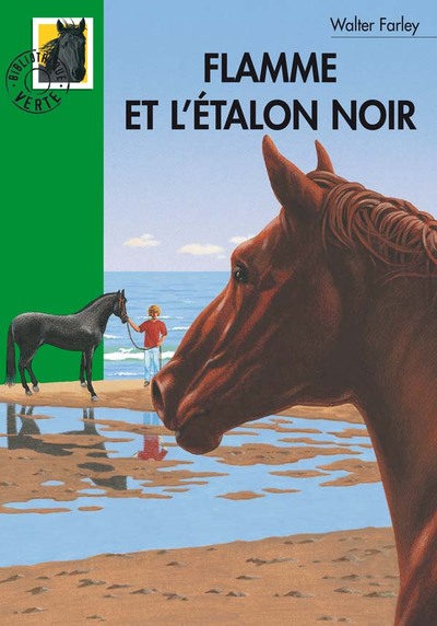 ETALON NOIR 325-FLAMME ET L´ETALON NOIR