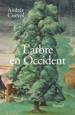 L´ARBRE EN OCCIDENT