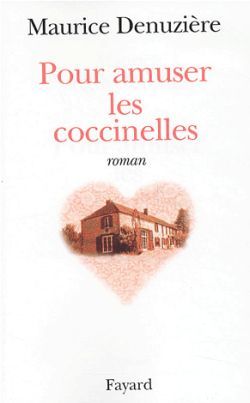 POUR AMUSER LES COCCINELLES