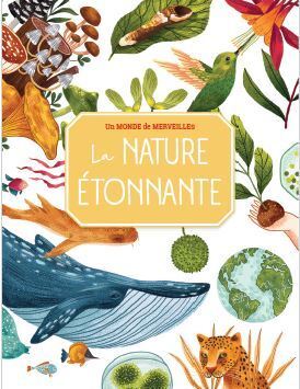 NATURE ETONNANTE