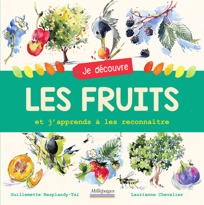 JE DECOUVRE LES FRUITS - ET J´APPRENDS A LES RECONNAITRE