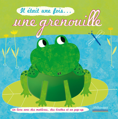 IL ETAIT UNE FOIS ... UNE GRENOUILLE