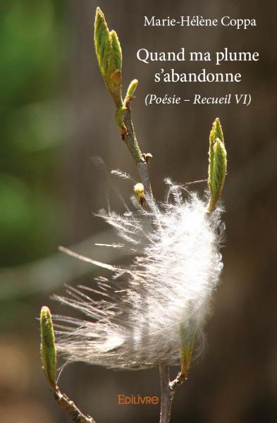 QUAND MA PLUME S´ABANDONNE