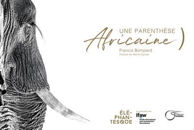 PARENTHESE AFRICAINE