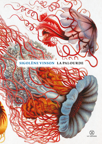 PALOURDE