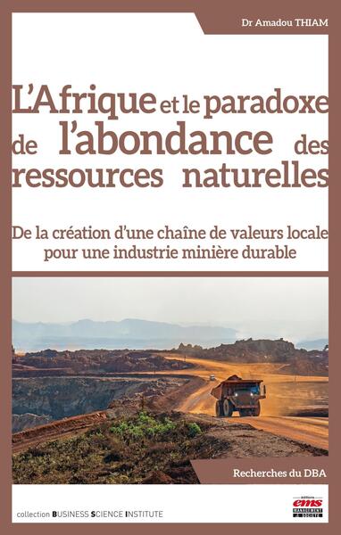 L´AFRIQUE ET LE PARADOXE DE L´ABONDANCE DES RESSOURCES NATURELLES - DE LA CREATION D´UNE CHAINE DE V