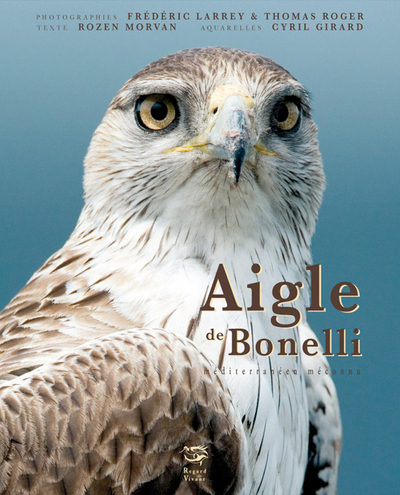 AIGLE DE BONELLI - MEDITERRANEEN MECONNU