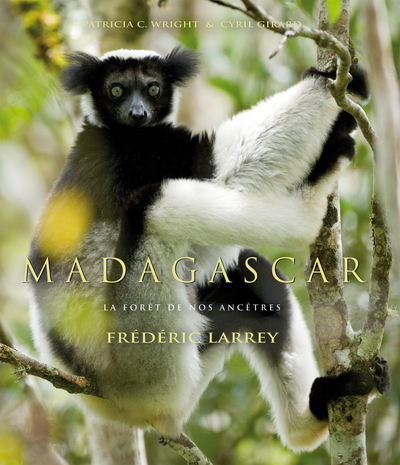 MADAGASCAR. LA FORET DE NOS ANCETRES