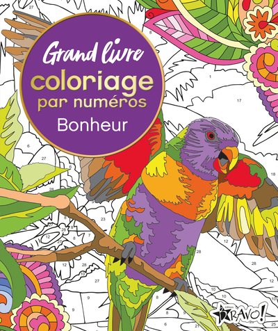 GRAND LIVRE COLORIAGE PAR NUMEROS - BONHEUR