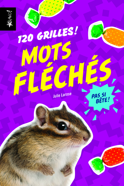 PAS SI BETE - MOTS FLECHES