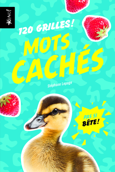 120 GRILLES MOTS CACHES PAS SI BETE