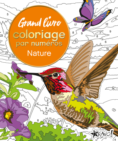 GRAND LIVRE COLORIAGE PAR NUMEROS - NATURE