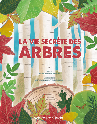 VIE SECRETE DES ARBRES