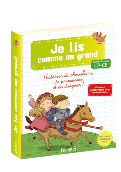 HISTOIRES DE CHEVALIERS PRINCESSES ET DRAGONS