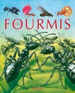 FOURMIS (LES)