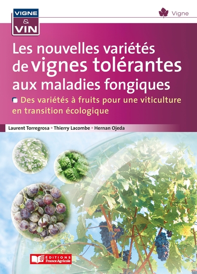 NOUVELLES VARIETES DE VIGNES TOLERANTES AUX MALADIES FONGIQUES - DES VARIETES A FRUITS POUR UNE