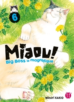 MIAOU ! BIG-BOSS LE MAGNIFIQUE T06