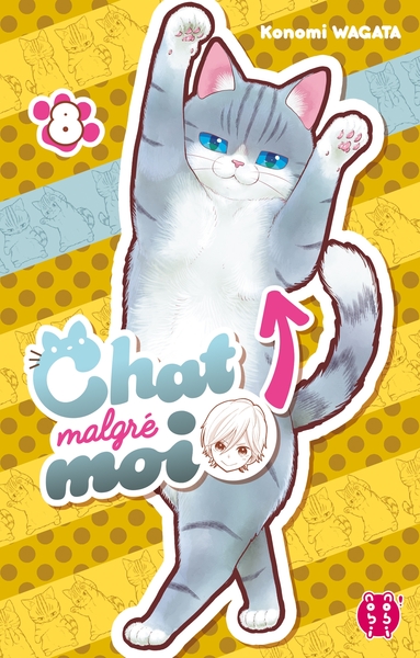 CHAT MALGRE MOI T08