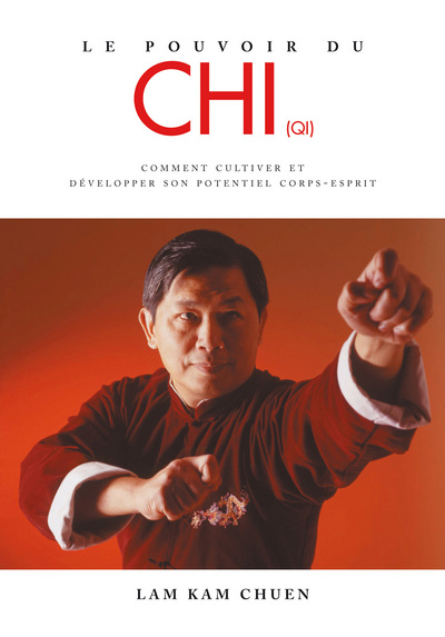 POUVOIR DU CHI (QI) (LE)